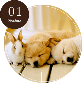 動物種院問わず診療