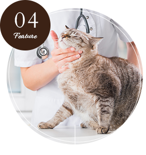 「病気」を診るだけではなく「患者」を診る